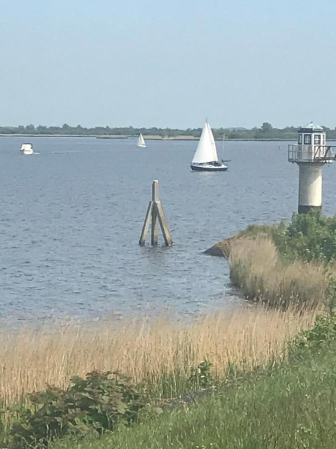 De Lauwersmeer Vogel mit eingezäuntem Garten Anjum Exterior foto