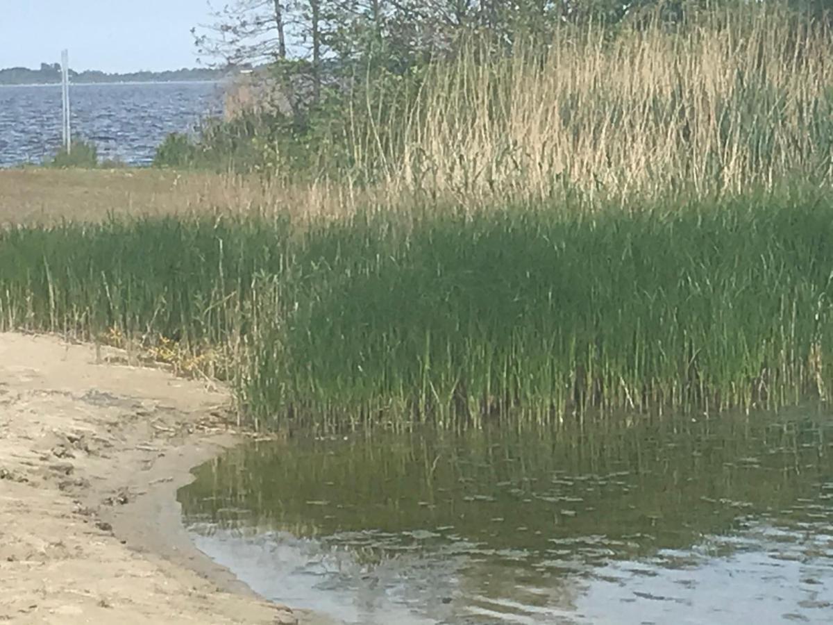 De Lauwersmeer Vogel mit eingezäuntem Garten Anjum Exterior foto